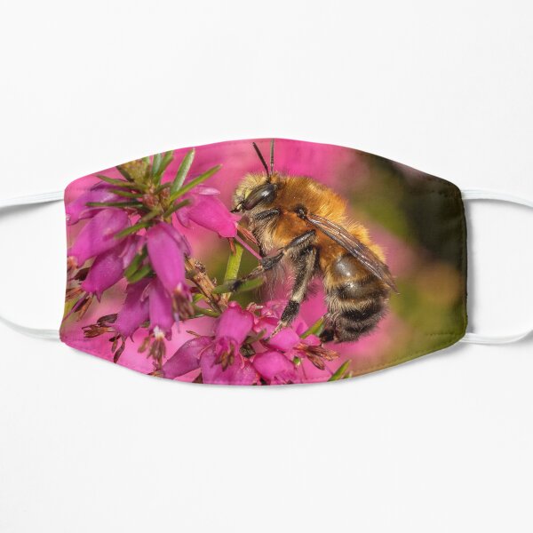 Bee on Heather Mask
