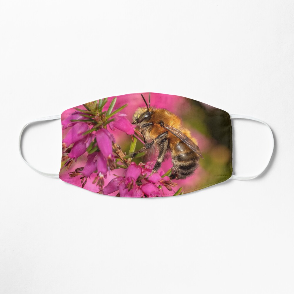 Bee on Heather Mask