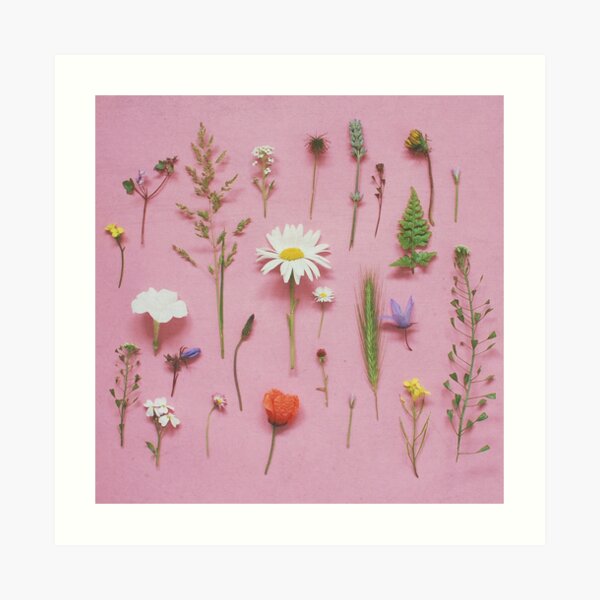 Wild Flowers Art Print