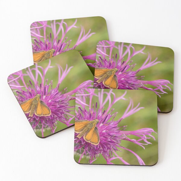 Item preview, Small Skipper on Knapweed designed and sold by DawnsArt92.