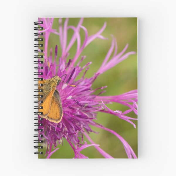 Item preview, Small Skipper on Knapweed designed and sold by DawnsArt92.