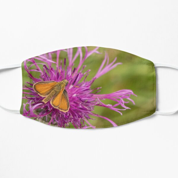 Small Skipper on Knapweed Flat Mask