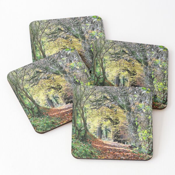 Item preview, Tree Tunnel designed and sold by Paul Thompson Photography.