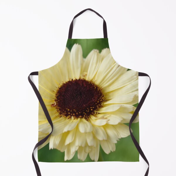 Item preview, Calendula officinalis 'Snow Princess' English marigold designed and sold by Chris Burrows.