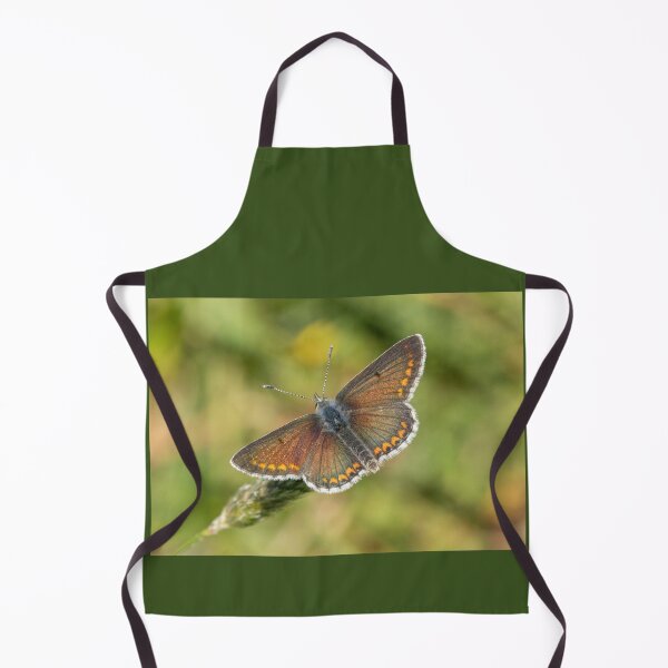 Item preview, Male Brown Argus designed and sold by DawnsArt92.