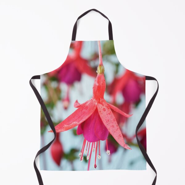 Item preview, Fuchsia 'Pink Fizz' designed and sold by Chris Burrows.