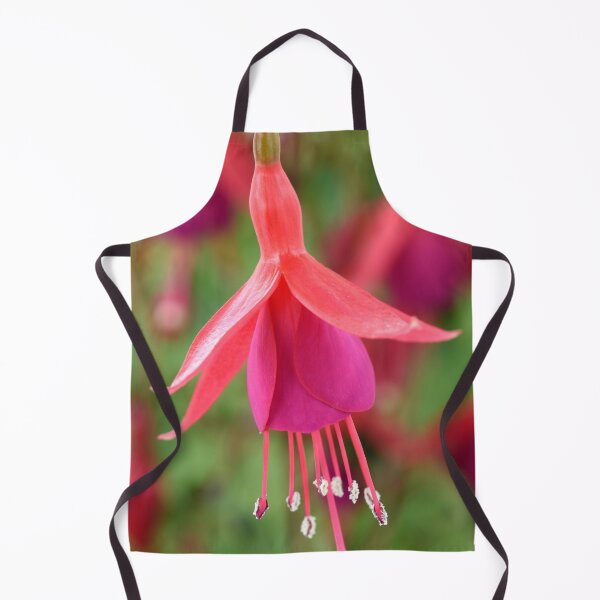 Item preview, Fuchsia 'Pink Fizz' designed and sold by Chris Burrows.