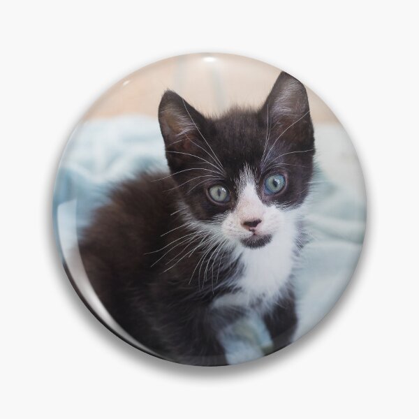 Item preview, kitten designed and sold by VBMatossy.