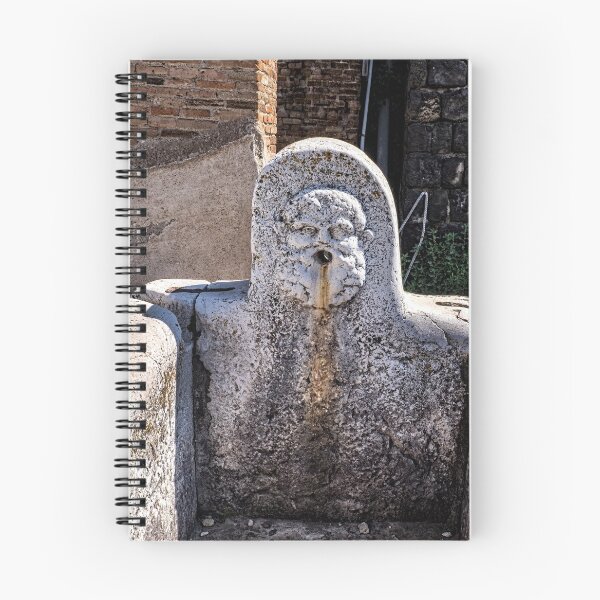 Item preview, Public drinking water fountain, Herclaneum designed and sold by petewelsby.