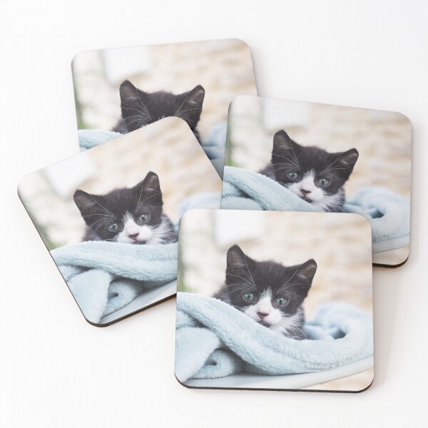 Item preview, The kitten in his plaid designed and sold by VBMatossy.