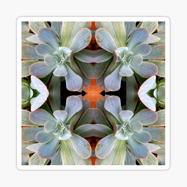 Succulent Sticker