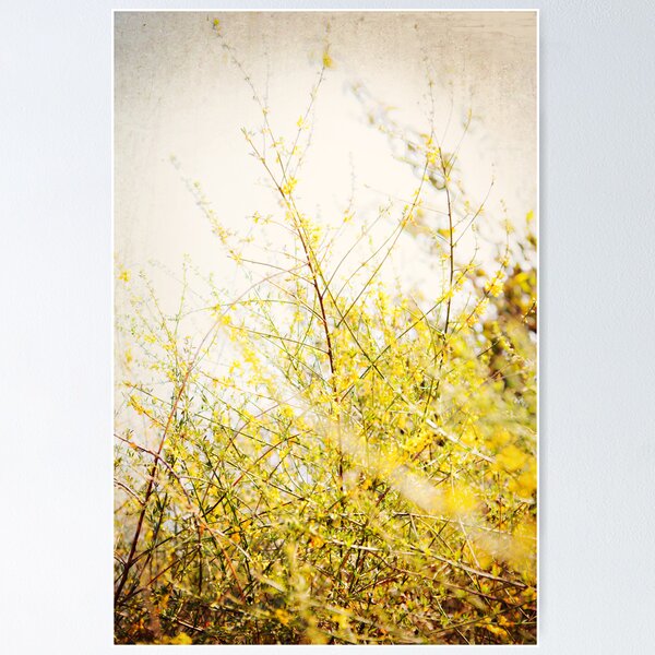 Item preview, : Yellow Bokeh : designed and sold by kmkmonkay.