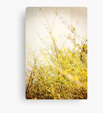 : Yellow Bokeh : Canvas Print