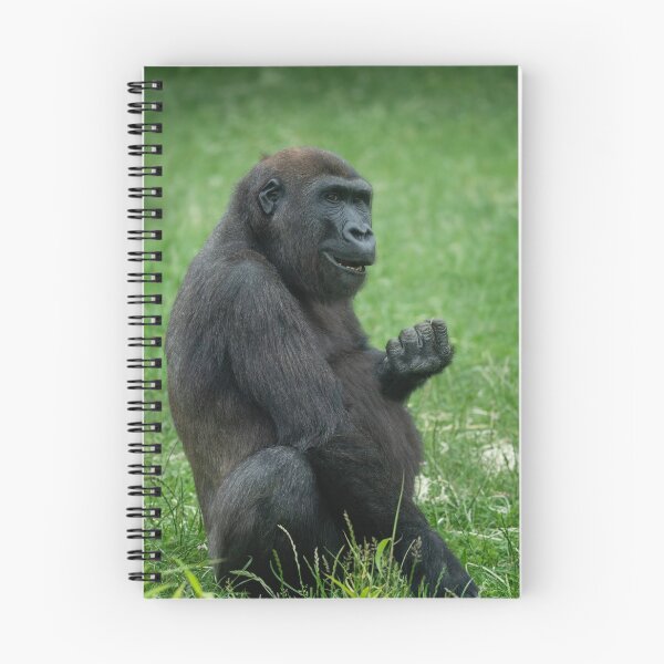 Item preview, Gorilla Lope Sitting In The Green Summer Grass designed and sold by rawshutterbug.