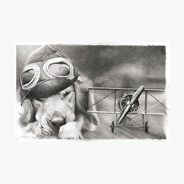 Nap Time Photographic Print