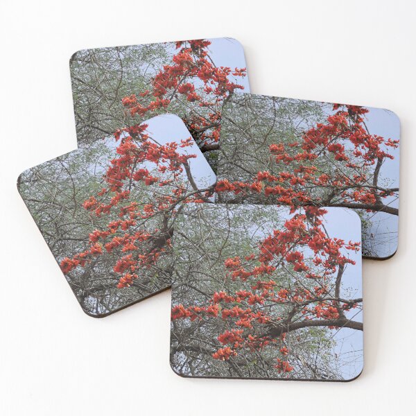 Item preview, Blooming Butea Tree Branches designed and sold by worldways.