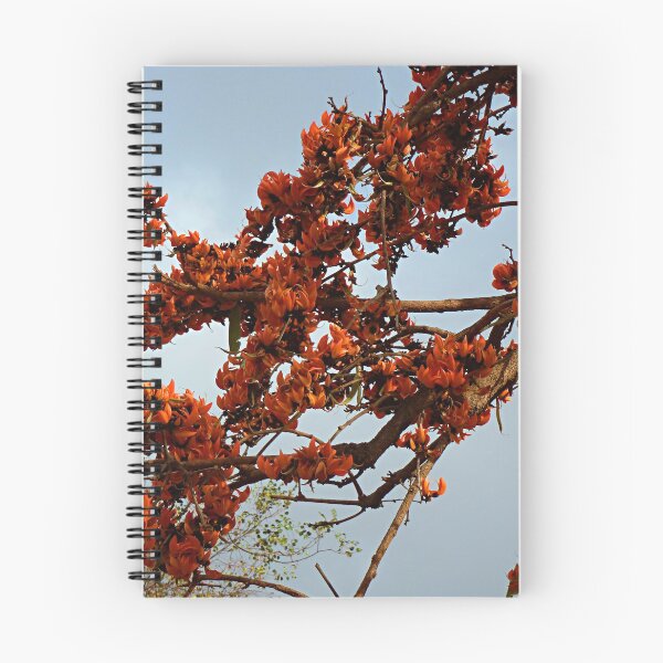 Item preview, Flowering Butea Tree Branches designed and sold by worldways.
