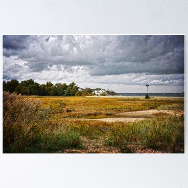 Item preview, Plymouth Shoreline designed and sold by Debra Fedchin.