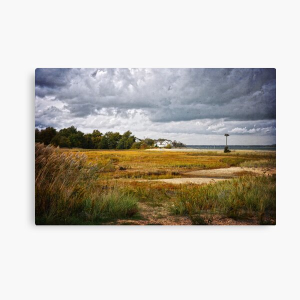 Item preview, Plymouth Shoreline designed and sold by Debra Fedchin.