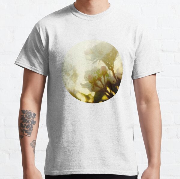 roses in the morning sun Classic T-Shirt