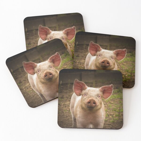 Item preview, Pinky the Piglet designed and sold by Jane Stanley Photography.