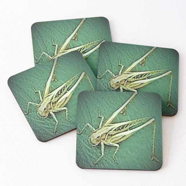 Item preview, Grasshopper designed and sold by craftsbydaphy.