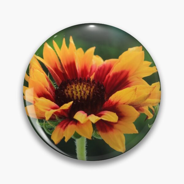 Item preview, Gaillardia. designed and sold by John Ray.