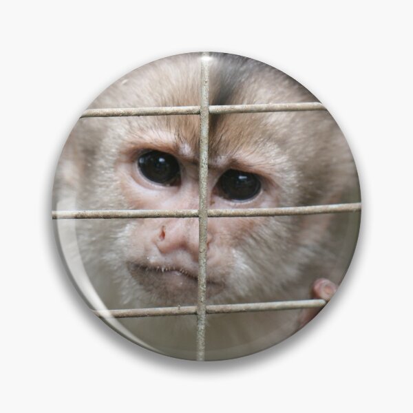 Item preview, Capuchin Monkey designed and sold by misimichu.