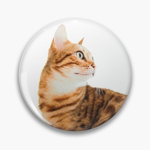 Item preview, Awesome Cat - Meowsome designed and sold by Borislav Shekerdzhiyski.