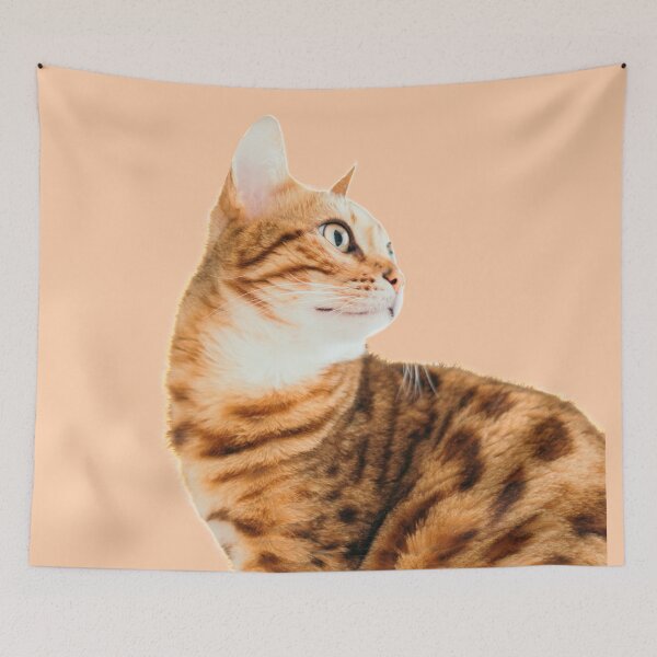 Item preview, Awesome Cat - Meowsome designed and sold by Borislav Shekerdzhiyski.