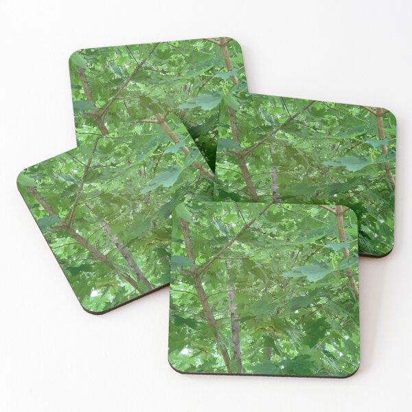 Item preview, Inside The Maple Tree  designed and sold by Amanda1775.
