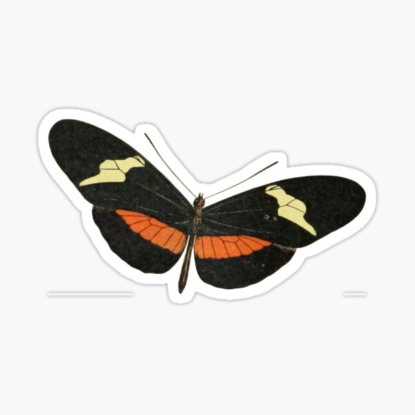 Item preview, helicona (mariposa cartero) designed and sold by cottagefrog.