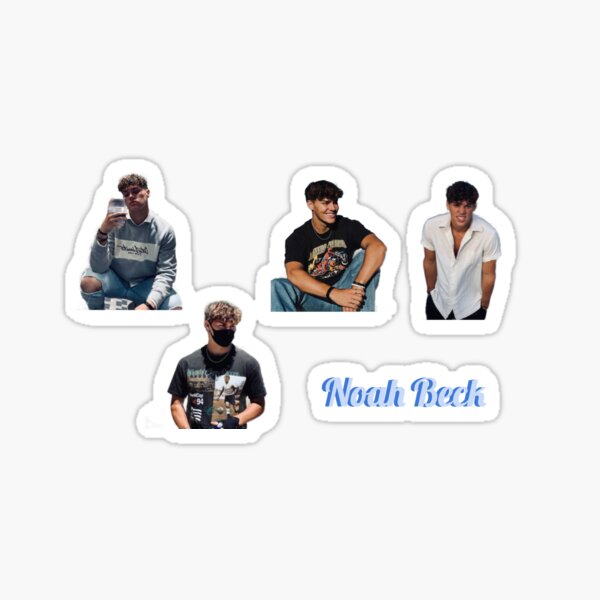 Noah Beck Stickers Pegatina