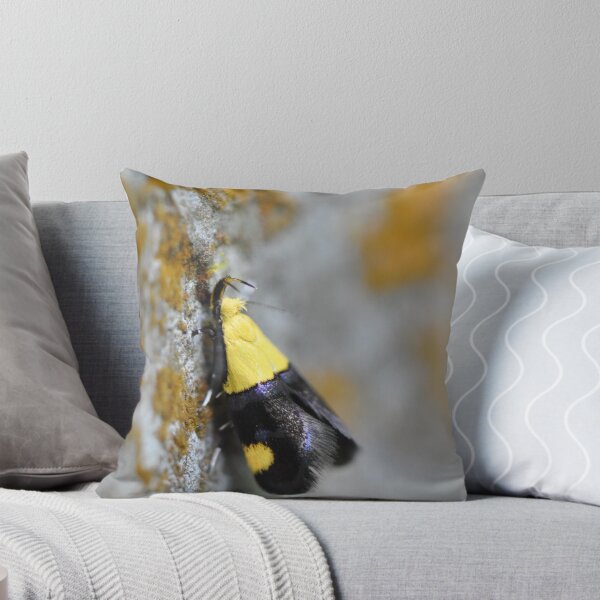 Item preview, Polilla sobre musgo designed and sold by Denitsa Prodanova.