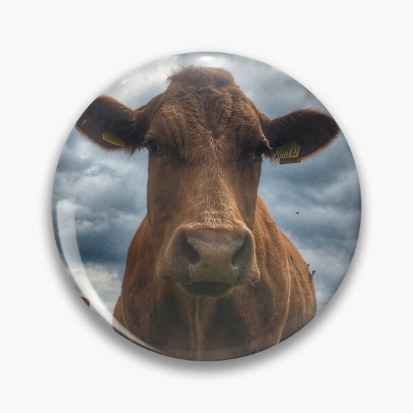 Item preview, Cow & Calves designed and sold by Mat Dixon.
