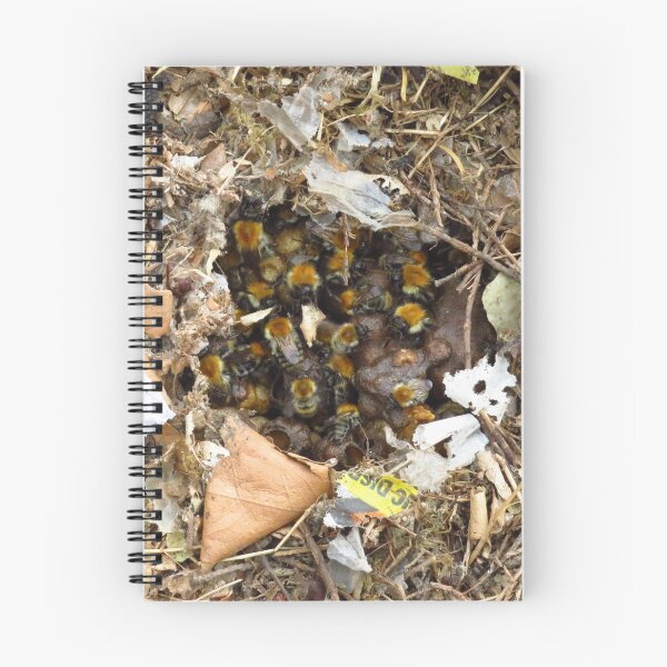 Item preview, Common Carder Bumble Bee Nest designed and sold by wiggyofipswich.
