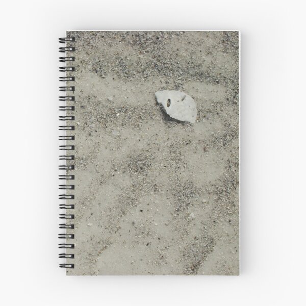 Item preview, 45 Cents designed and sold by AGODIPhoto.