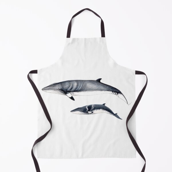 Item preview, Minke whale designed and sold by chloeyzoard.