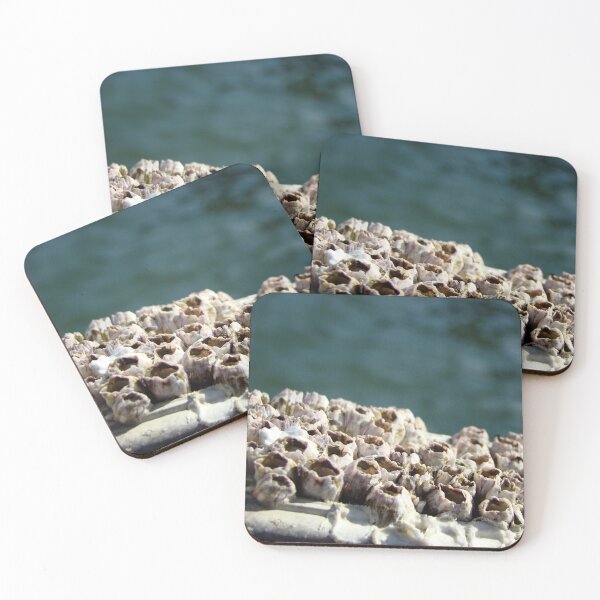 Item preview, Barnacles! designed and sold by AGODIPhoto.