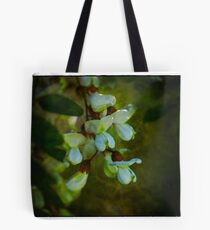 Black Locust Tote Bag