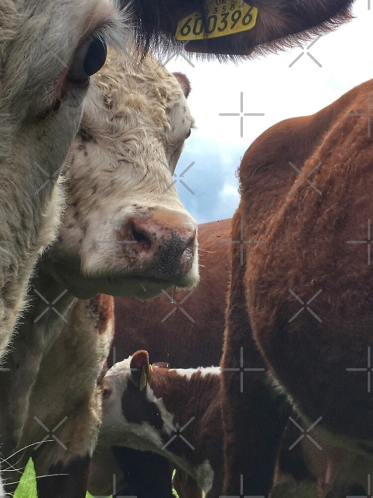 Thumbnail 4 of 4, iPhone Case, Cows designed and sold by Rustically.