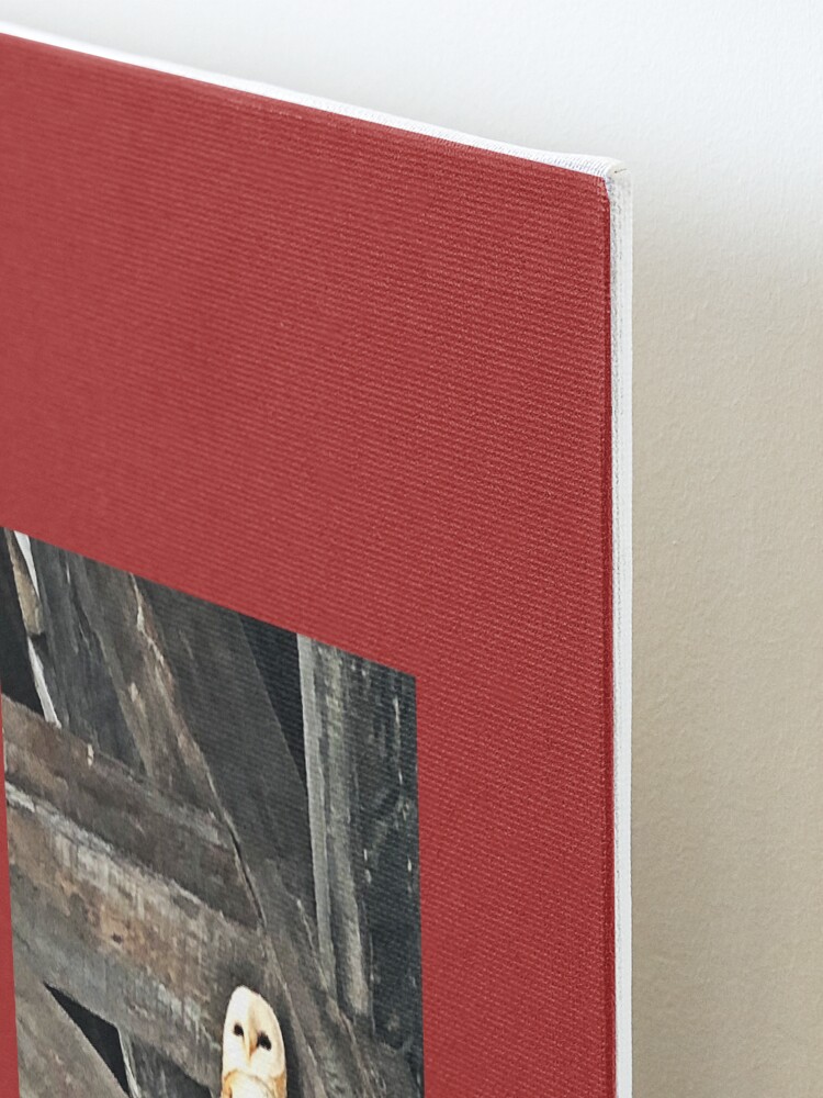 Alternate view of Owl Mounted Print