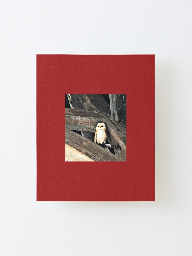 Alternate view of Owl Mounted Print