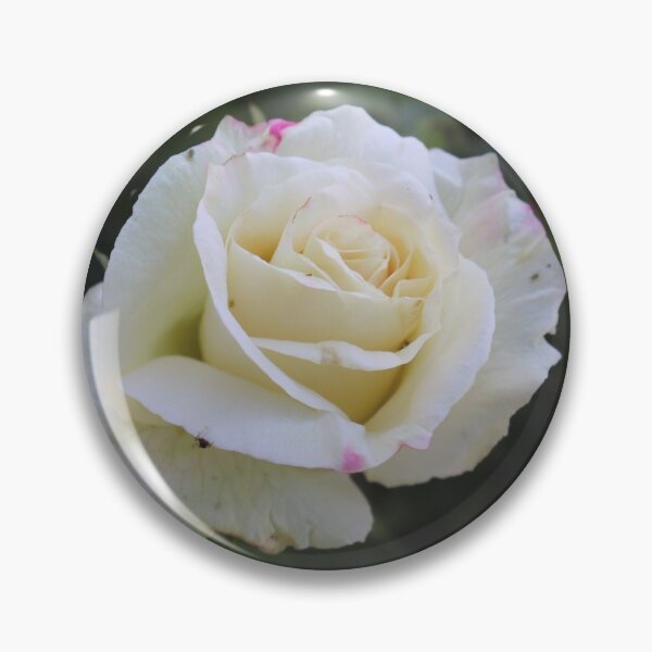 Item preview, White Rose designed and sold by jennomat.
