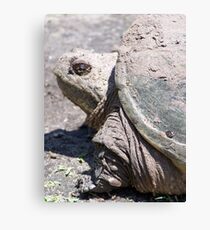 Backyard Dinosaur Canvas Print