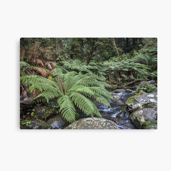 Item preview, Otway National Park designed and sold by Shari Sherriff.