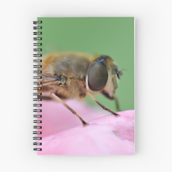 Aperçu de l'œuvre A Bug's Life I créée et vendue par Denitsa Prodanova.