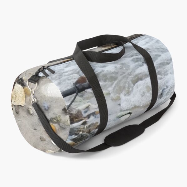 Item preview, Sea Shell Collection designed and sold by MooseDogPhotos.