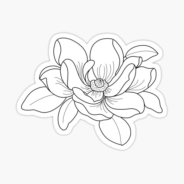magnolia Sticker