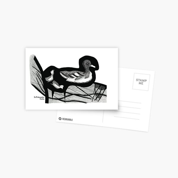 St Frideswide Ducks Postcard